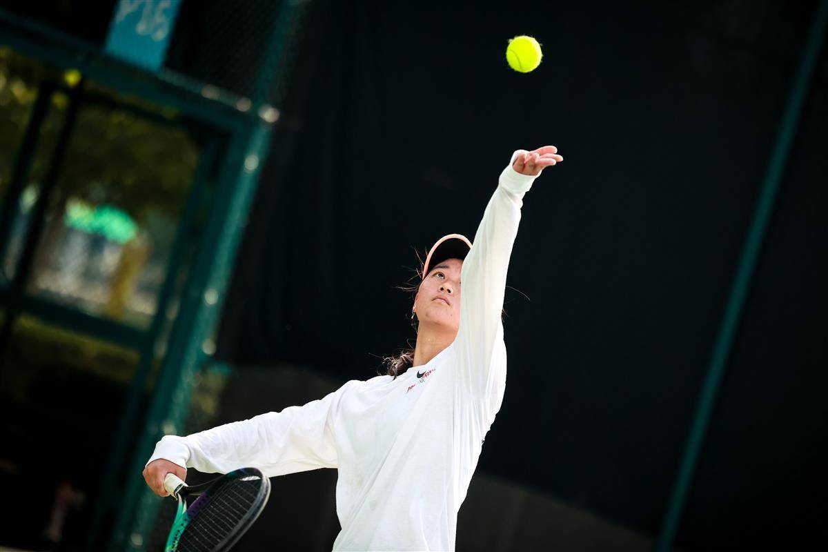 的防守艺术 的防守艺术