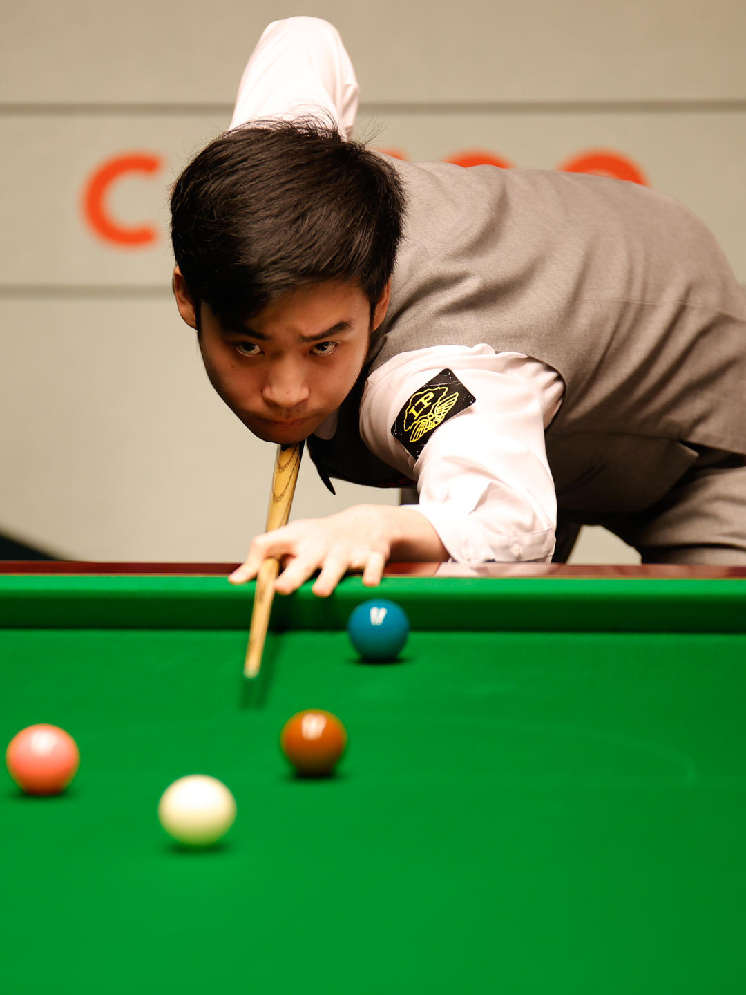 这不仅是对 这不仅是对