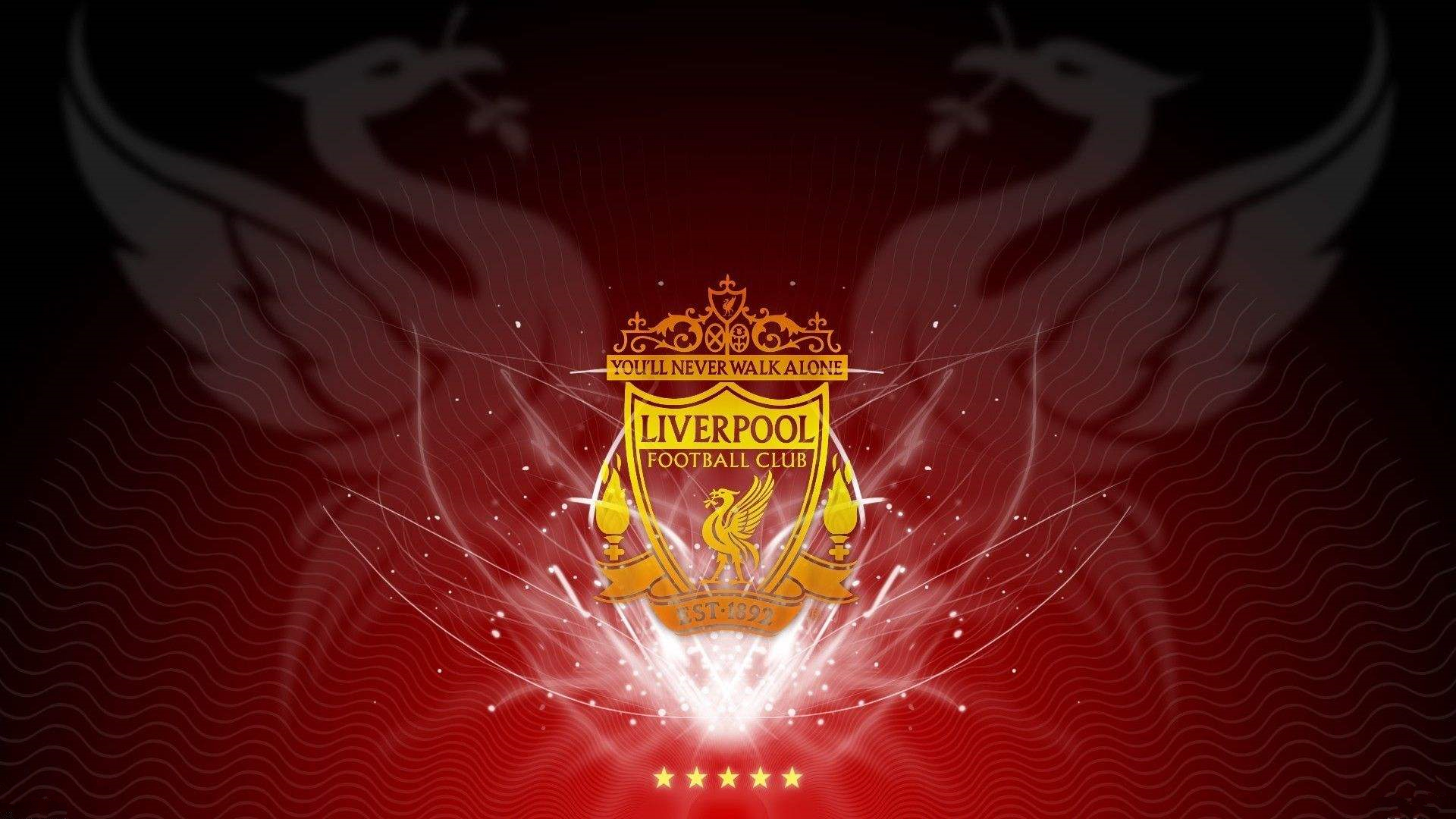 与风险曲线 与风险曲线